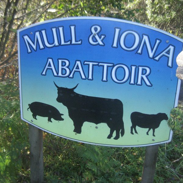 CRGP mull and iona abattoir